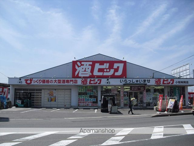 レオネクストアゴーラの周辺写真