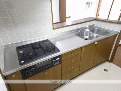 徳島県徳島市山城西３丁目[3SDK/68.5m2]のキッチン