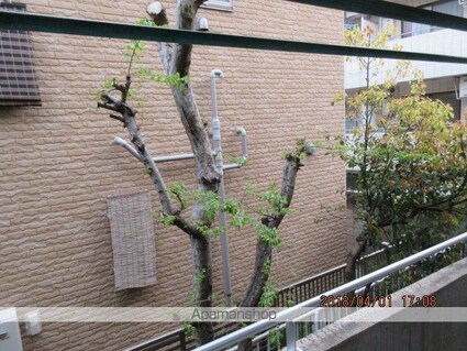 ラ・テーラ[1R/27m2]の眺望