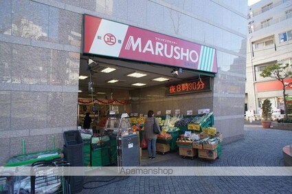 トーシンハイム新宿[1R/19.6m2]の周辺9