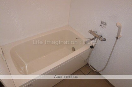 ＭＡＩＳＯＮ　ＰＬＡＺＡ[3LDK/66.5m2]のバス