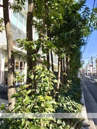 ＳＳーＤ[1LDK/51.49m2]の外観6