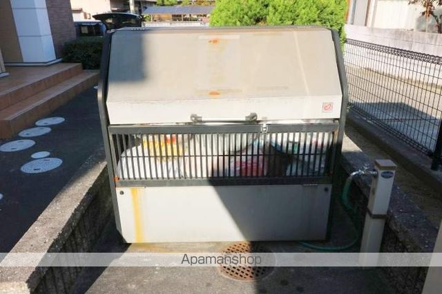 サンセベリアのその他写真