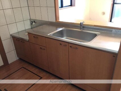 パルフェドルミナス[2LDK/54m2]のキッチン