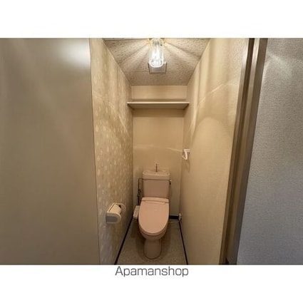 ソレイユフジ[3DK/51.97m2]のトイレ