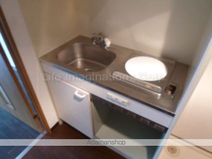 野路一番館[1K/22.4m2]のキッチン