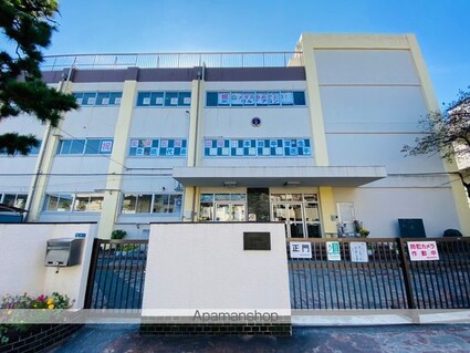 ルミエール[1K/20m2]の周辺5