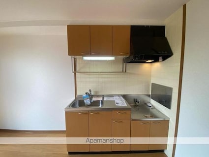 リヴァー・ウィルダーネスＡ[2DK/46.13m2]のキッチン