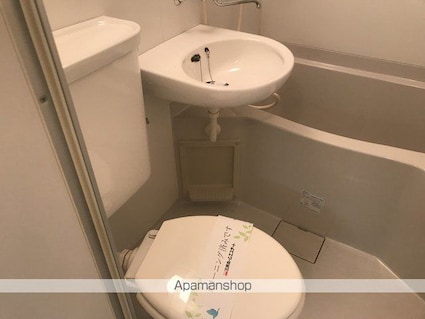 メゾン・ド・ルルス[1R/19.87m2]の洗面所