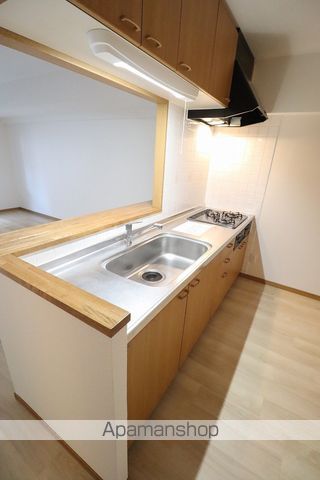 ドルフ秋川[2LDK/60.24m2]のキッチン