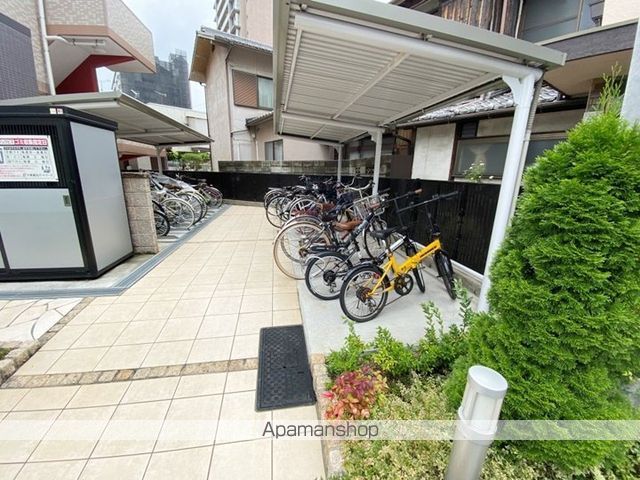 アンジュラピスのその他写真