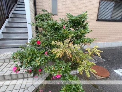 クレールＢ[2DK/52.31m2]の共用部1