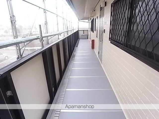 トレイシュアルボレーのその他写真