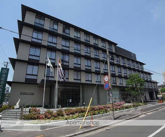 ゴールドクレストの周辺写真