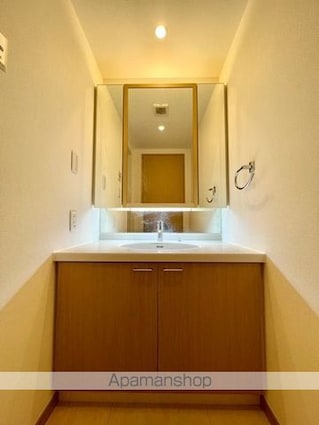 レジディアタワー乃木坂[1LDK/51.82m2]の収納