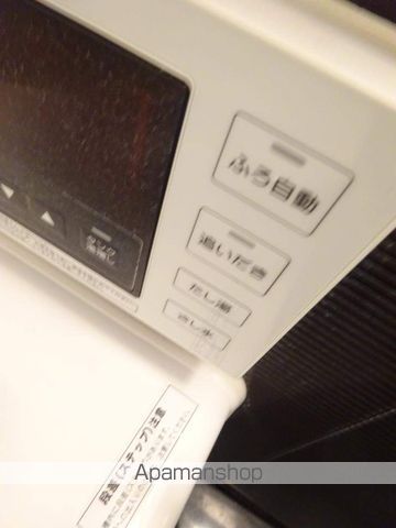 ゼフィランサスの内装写真