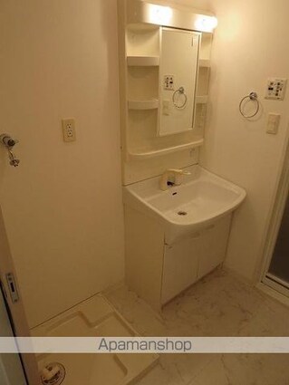 ドゥーエ新川[1LDK/40.33m2]の洗面所