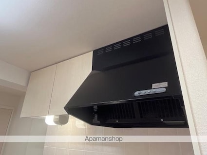 プリオール椿ＰａｒｔⅡ[1R/27.88m2]の内装4