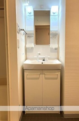 アレーズ南池袋[1K/32.49m2]の洗面所