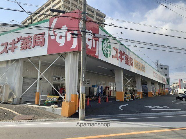 クリサンテーム トキの周辺写真