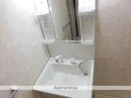 チェリーヒル[2DK/55.58m2]の洗面所