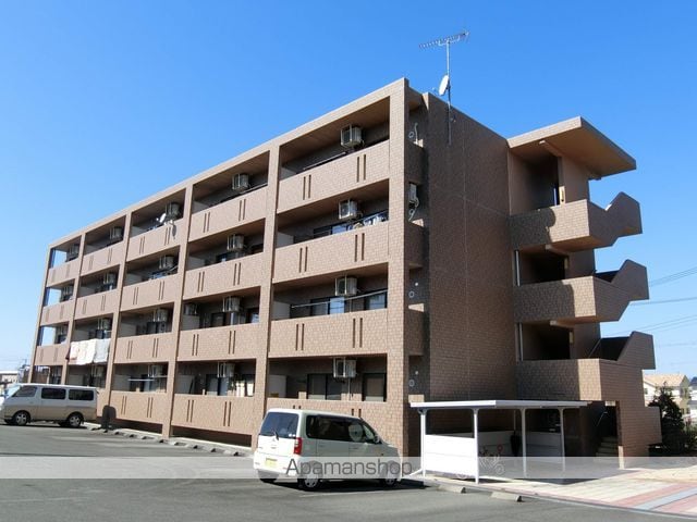 シーダーナイン