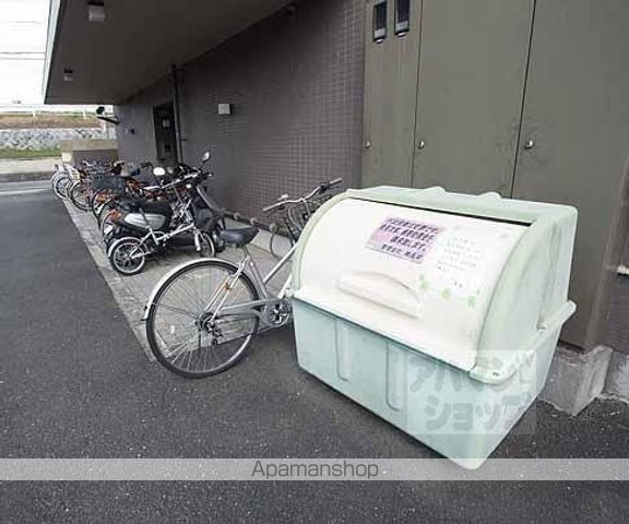 アペルタスのその他写真