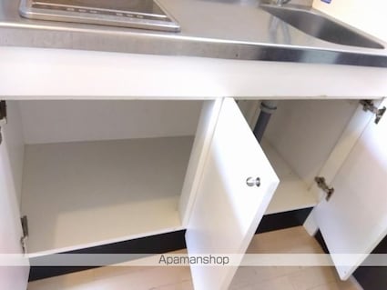 レオネクスト東大浜３[1K/28.02m2]の収納2