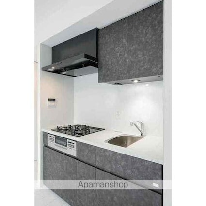 グランカーサ蒲田ウエスト[2DK/46.48m2]のキッチン