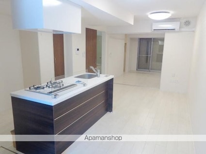 リブレ（Ｌｉｂｒｅ）聖蹟[1LDK/45.48m2]のキッチン