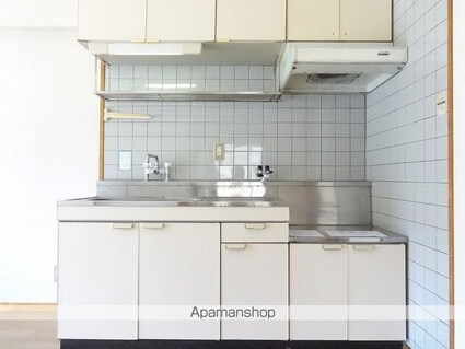 山崎ハイツ[2DK/47.5m2]のキッチン