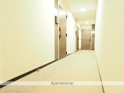 レジディア亀戸プレイス[1DK/26.55m2]の共用部3