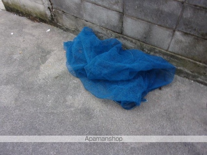 ５アベニュー[1K/25.51m2]の共用部1