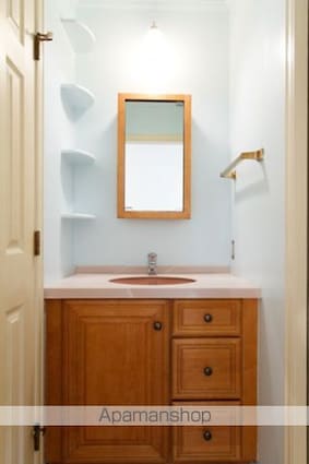 ＯＮＥ　ＴＲＥＥ　ＨＩＬＬ[2LDK/57.94m2]の洗面所