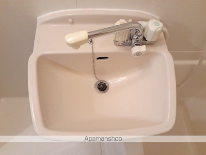 サニーコート月島[1K/23.94m2]の洗面所