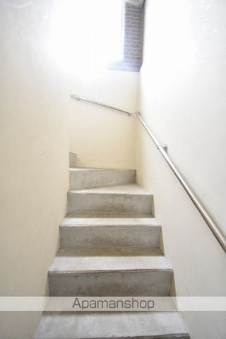 シェモアのその他写真
