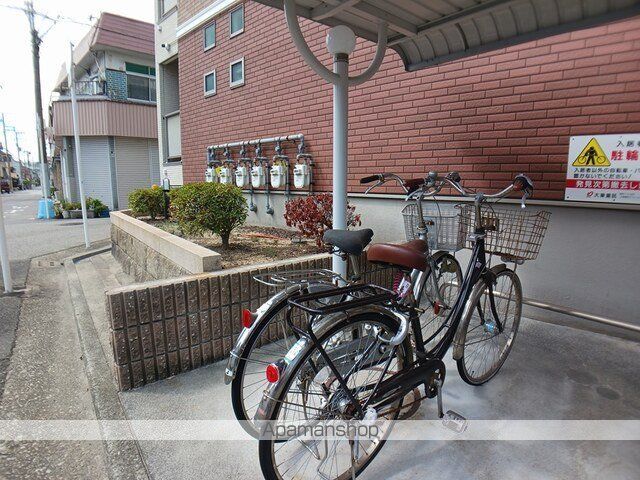 アンジュリナのその他写真