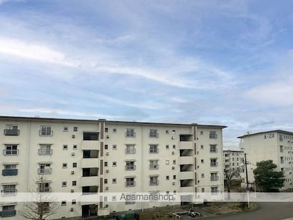 ビレッジハウス鳴滝１９号棟[3K/43.37m2]の内装1