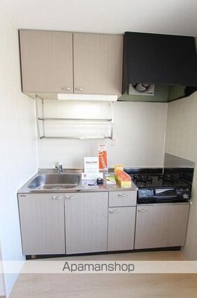 香川県高松市林町[2DK/41.89m2]のキッチン