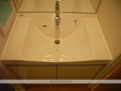 エスティメゾン錦糸町Ⅱ[1LDK/41.02m2]の洗面所