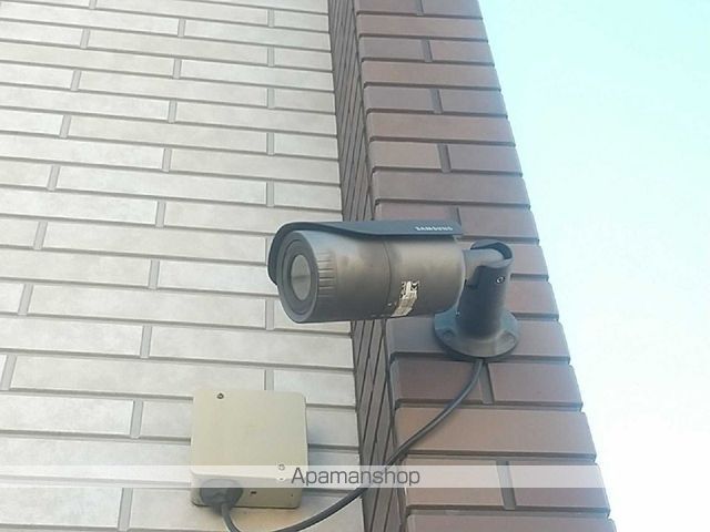 ミランダファルコナーIのその他写真