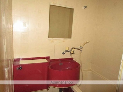 ロックバレー大野[1R/24.16m2]の洗面所