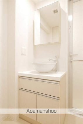 プレミアムキューブＧ北新宿[1K/25.41m2]の洗面所