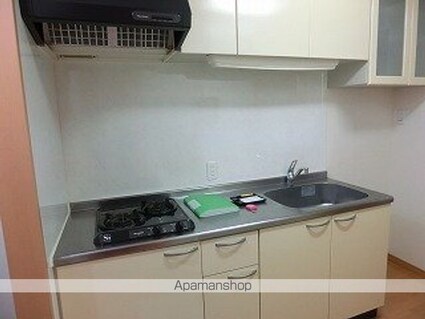 グリーンヒル２１[1K/25.92m2]のキッチン