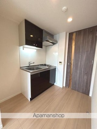 プライムアーバン住吉Ⅱ[1R/25.84m2]のキッチン2