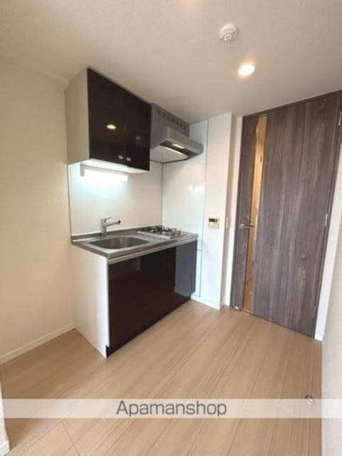 プライムアーバン住吉Ⅱ[1R/25.84m2]のキッチン2