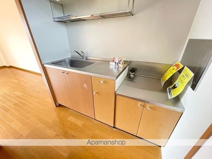 ハイツＫＳＮ[1LDK/46.37m2]のキッチン