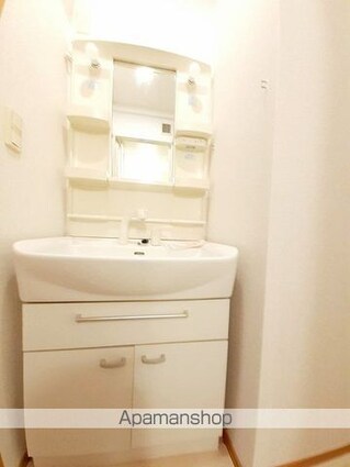 ボヌールプラスＡ[2DK/46.79m2]の洗面所