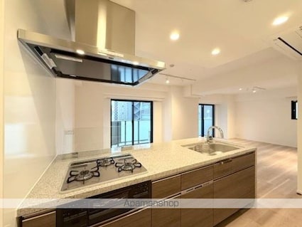 ルネサンス赤坂プレミアムコート[1LDK/62.75m2]のリビング・居間4