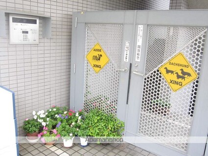 東京都杉並区堀ノ内２丁目[1K/17m2]のエントランス1